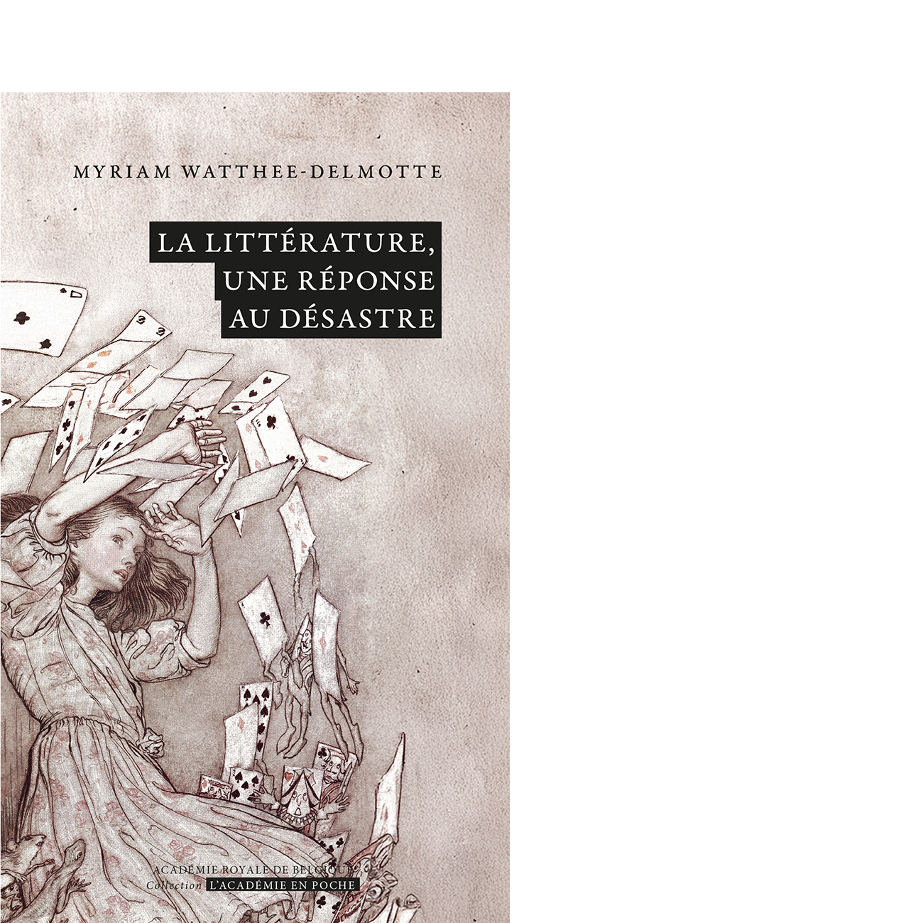 La littérature, une réponse au désastre
