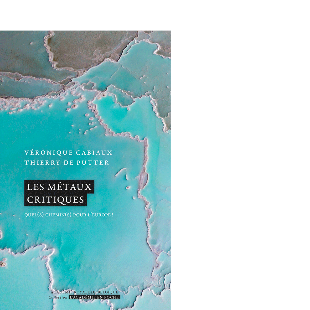 Les métaux critiques